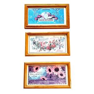 Set of 3 Vintage French Advertising Marketing Prints Framed Provence